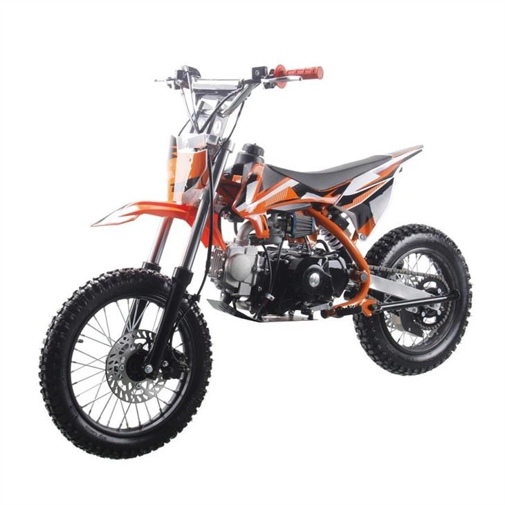 125cc pit bike (2)
