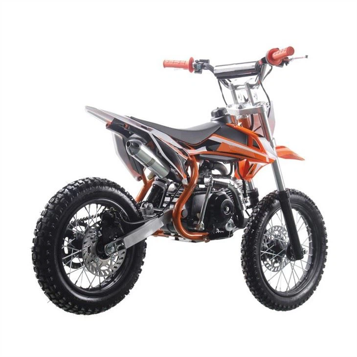 125cc pit bike (4)
