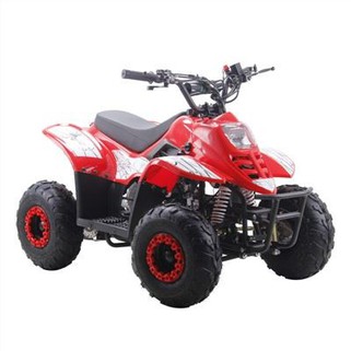 110cc Automatic ATV Quad للأطفال